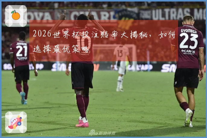 2026世界杯投注赔率大揭秘，如何选择最优策略