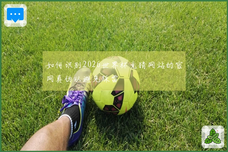 如何识别2026世界杯竞猜网站的官网真伪以避免踩雷