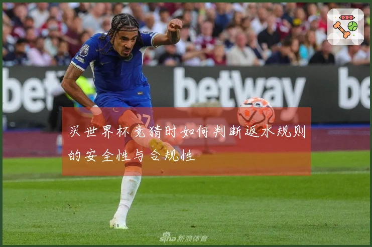 买世界杯竞猜时如何判断返水规则的安全性与合规性