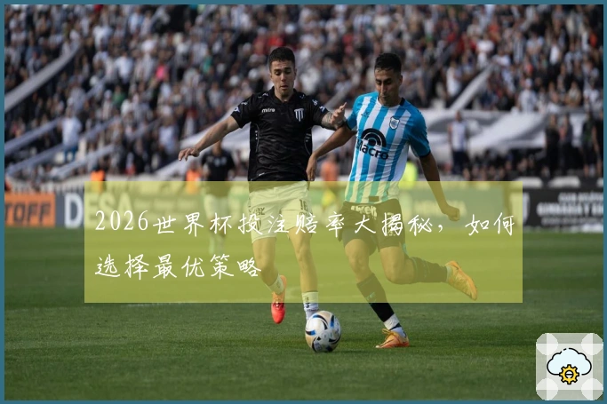 2026世界杯投注赔率大揭秘，如何选择最优策略
