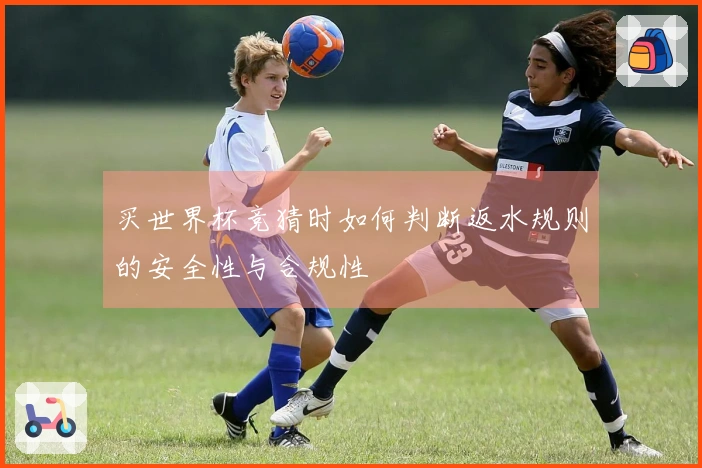 买世界杯竞猜时如何判断返水规则的安全性与合规性