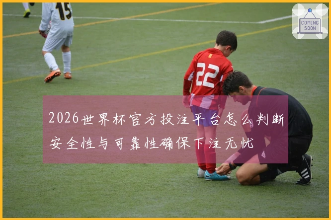 2026世界杯官方投注平台怎么判断安全性与可靠性确保下注无忧