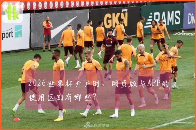 2026世界杯开户时，网页版与APP的使用区别有哪些？